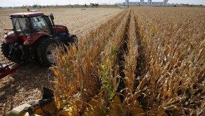 Земеделските доходи са по-стабилни заради членството в ЕС - Agri.bg