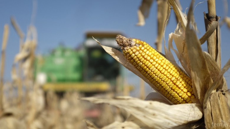 USDA чака по-високо потребление на царевица   