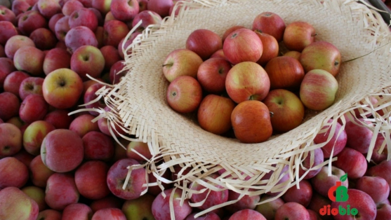 Испания с допълнителна квота за изтеглени ябълки