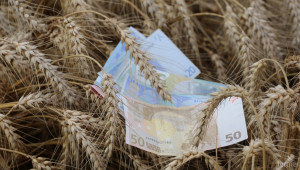 С 5,1% спад на цените в земеделието - Agri.bg