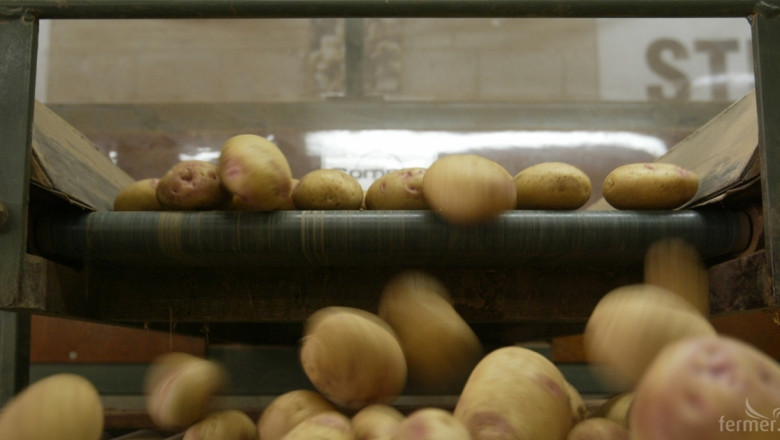 Цената на едро на картофите се е покачила със 7,1%