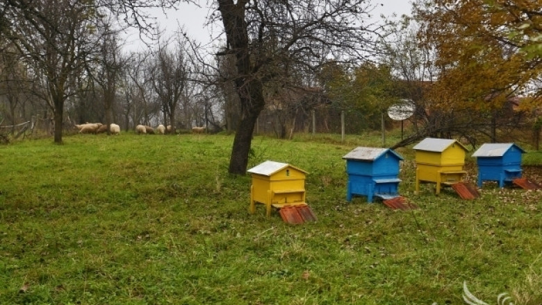 Започна 15-тото Международно изложение Пчеларство Плевен 2017