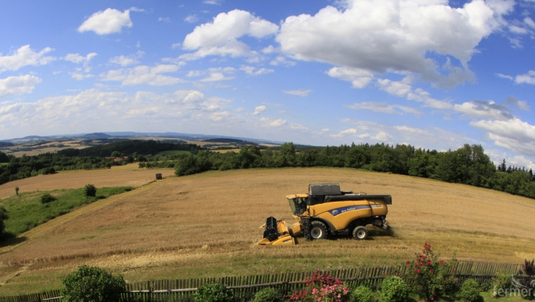 Световното производство на пшеница се е увеличило с 1,4 млн. тона