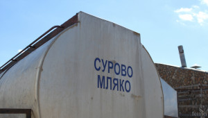  Спипаха 1 тон мляко без документи в Пазарджишко  - Agri.bg