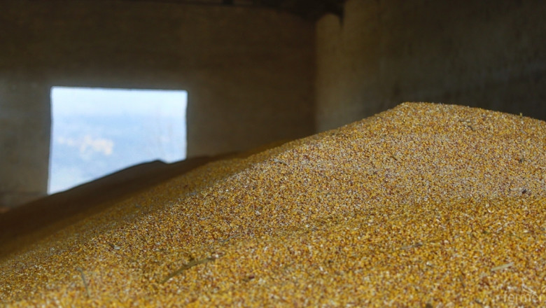 ЕК понижи оценката за преходните запаси за царевица 
