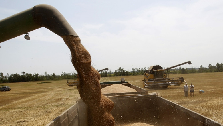 Русия изнесе 25,1 млн. тона пшеница 