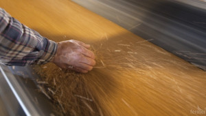 Египет купи нова порция черноморска пшеница  - Agri.bg