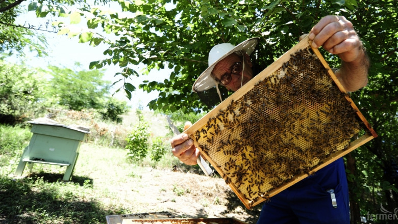 ДФЗ ще кредитира одобрени проекти по Пчеларската програма 
