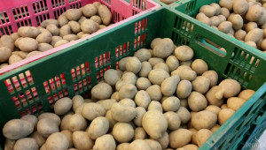Близо 10% е седмичното понижение в цената на картофите на едро - Agri.bg