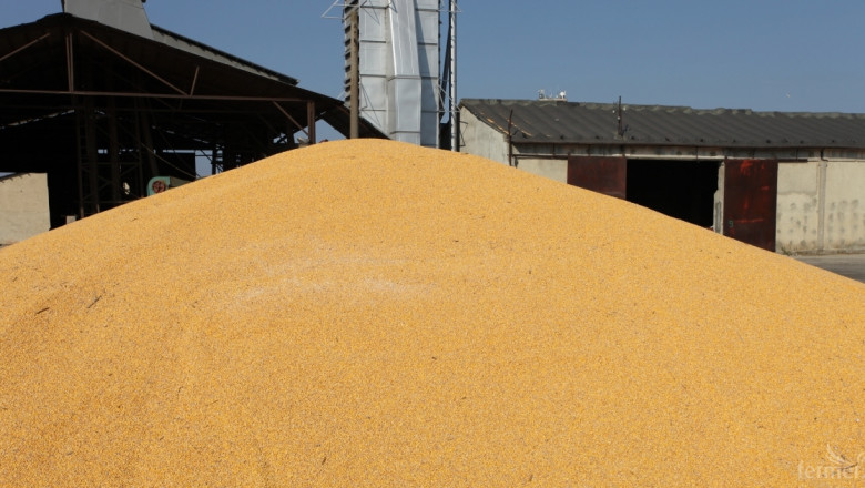 Изкупната цена на царевицата бележи ръст на годишна база