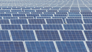 Строят 5-мегаватова соларна ферма, която ще обслужва 1200 домове на Острова - Agri.bg