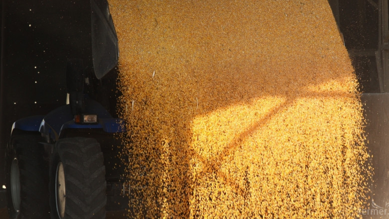 САЩ изнесе 14 млн. тона царевица за три месеца