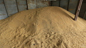 Чака се по-ниско производство на пшеница, ечемик и рапица - Agri.bg