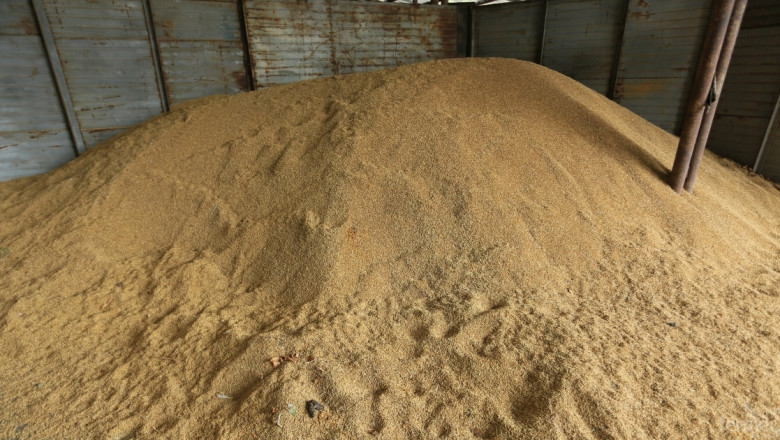 Чака се по-ниско производство на пшеница, ечемик и рапица