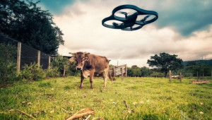 9 съвета за безопасното летене на дрон във вашата ферма - Agri.bg