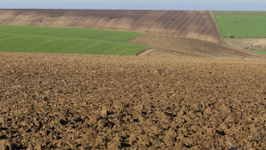 Инвестирането в земеделска земя е алтернатива за запазване на спестяванията  - Agri.bg