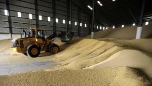 Износът на пшеница вече е 1 279, 6 хил. тона - Agri.bg