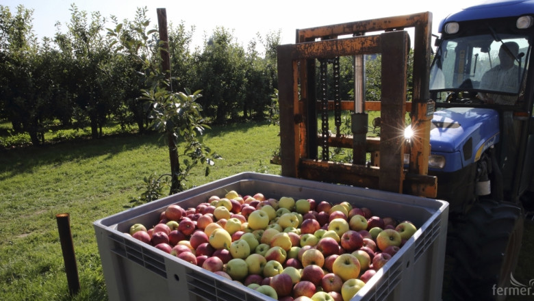 Италия, Франция и Испания са първенци по производство на плодове 