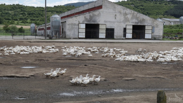 Превантивни мерки срещу птичи грип и във Врачанско 