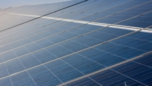 Опустяла ферма в Калифорния произвежда слънчева енергия - Agri.bg