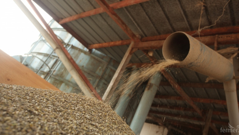 Изкупните цени на основните зърнени култури бележат седмично повишение