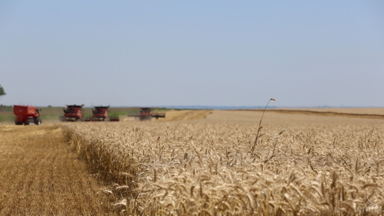 Европейските търговци на зърно очакват 134,7 млн. тона пшеница догодина 