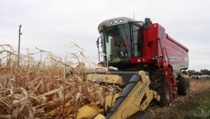 523 089 тона царевица е реколтирана в Добричка област - Agri.bg