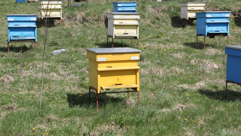 През следващите 3 години пчелари ще усвоят над 14 млн. лева по Националната програма