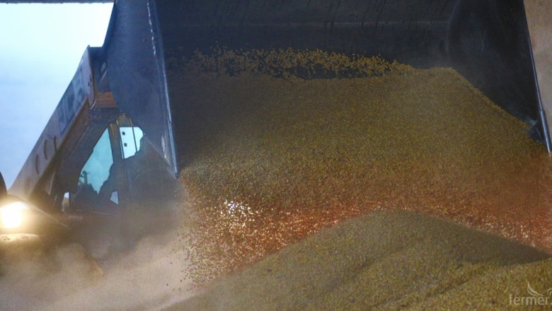 ФАО прогнозира рекордни запаси от зърнени култури догодина 