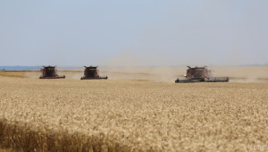 Strategie Grains предвижда възстановяване на реколтата от пшеница  - Agri.bg