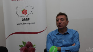 БАМ: Малинопроизводители са пренебрегнати по текущия прием по 4.1  - Agri.bg