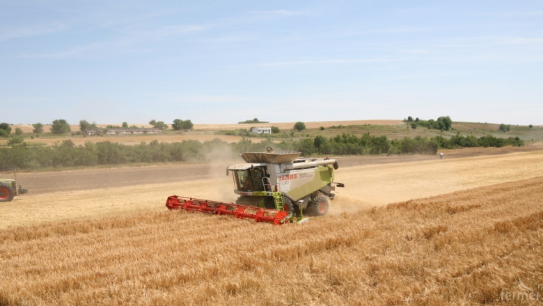 Ясно е общото количество зърно в страната към края на октомври 