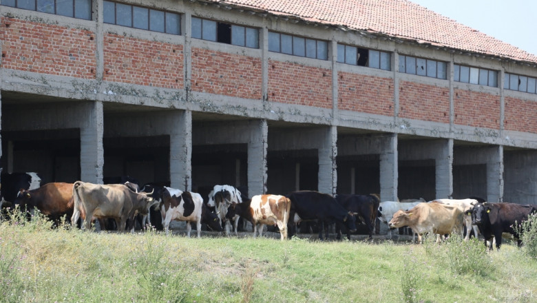 БАБХ запознава фермери с изискванията при регистрация на животновъден обект
