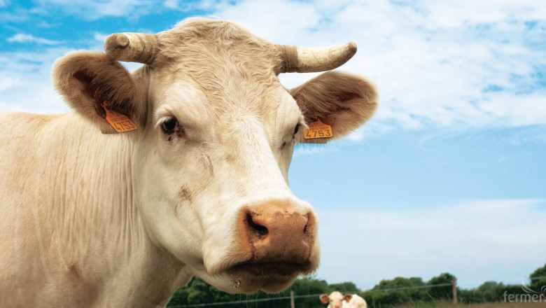 Експерти от ЕК разясняват еврозаконодателството на животновъди 