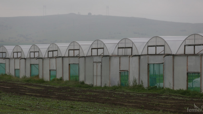 МЗХ: Не ние, а правителството на Монголия плаща за изграждане на оранжерията