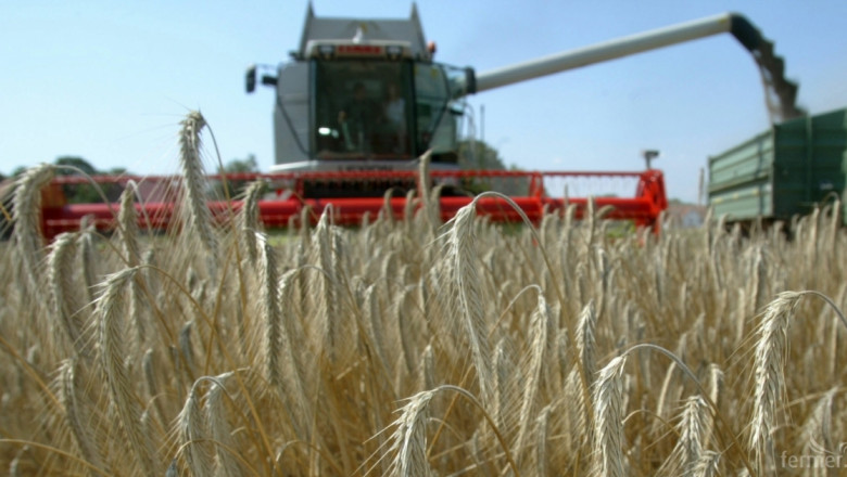 Египет с първи търг за пшеница по новата система за проверка на качеството