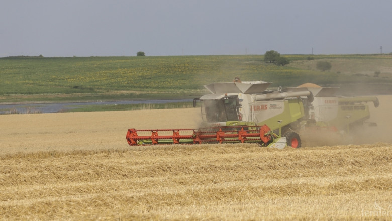 Площите, засети с пшеница в Добричко, надхвърлят миналогодишните 