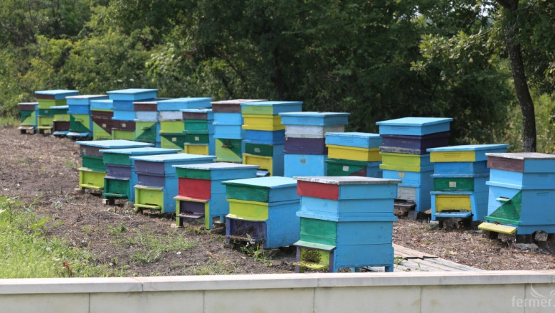ДФЗ изплати близо 4 милиона лева по схемата de minimis за пчелари