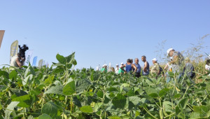 Чакат реколтата от соя да достигне 33,4 млн. тона в световен мащаб   - Agri.bg