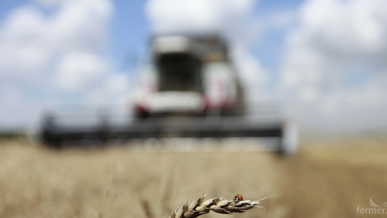 Египет изкупи 420 000 тона черноморска пшеница 
