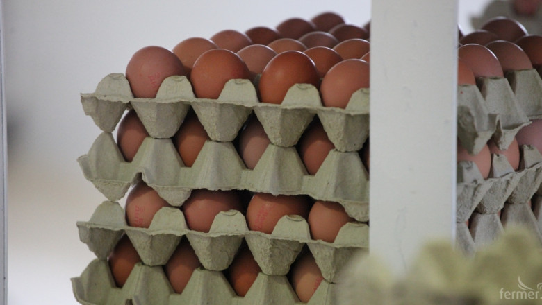 Изтеглят от пазара съмнителни полски яйца 