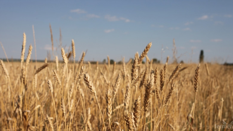 Фермер: Трябва ни стратегия за зърнопроизводството до 2050 година