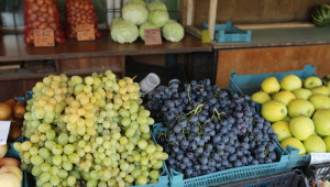 Лозари отчитат близо два пъти по-слаба реколта, гроздето за вино стигна до 1,10 лв - Agri.bg