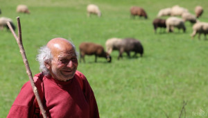 Започна пререгистрация на земеделски стопани по Наредба 3 за 2016-2017 година - Agri.bg