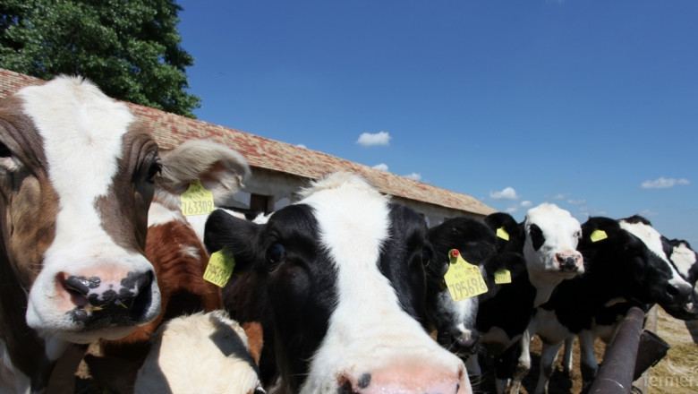 Консултативен съвет по животновъдство ще се проведе на 30 септември в Търговище
