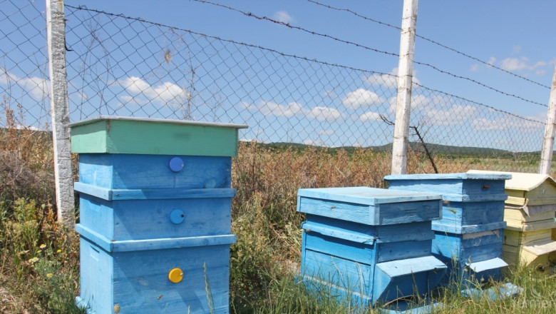 Днес е крайният срок, в който пчелари кандидатстват за помощта de minimis 