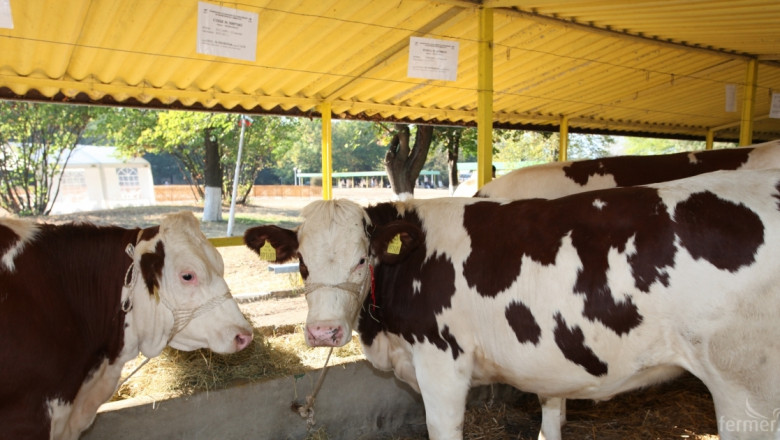 ЕК отменя ограниченията за търговия на мляко и месо наложени заради дерматита