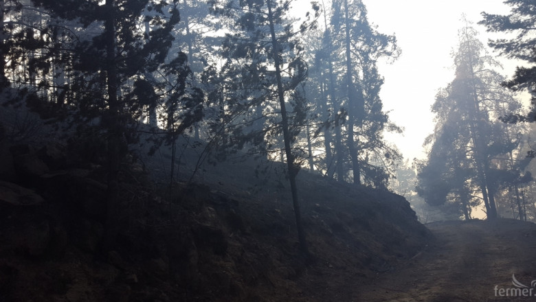Днес в МЗХ представят мерки за превенция на земеделските и горски територии от пожари 