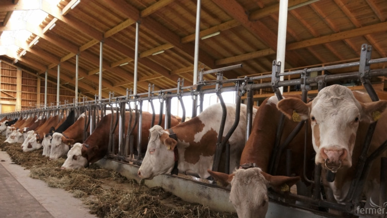 Очаква се средствата за кризата в сектор Мляко да се разпределят през октомври 