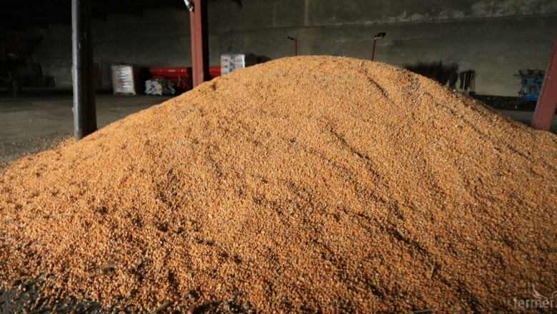 НАЗ: Очакваните добиви от царевица в Разградско ще са около 300-400 кг/дка